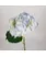 Гортензія Колумбія Vervain Natural  - фото 7