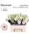 Еустома Chaconne Wedding Pink 