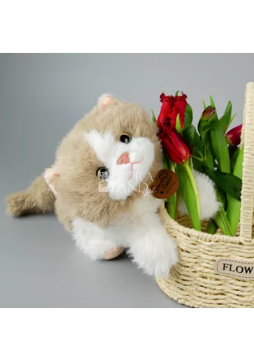Котик Томмі біло-бежевий 