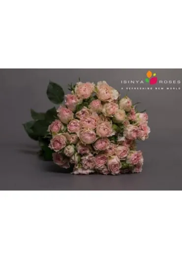 Троянда-Спрей Fancy Blossoms 50 см  - фото 5