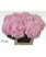 Гортензія Verena Pink 80 см 